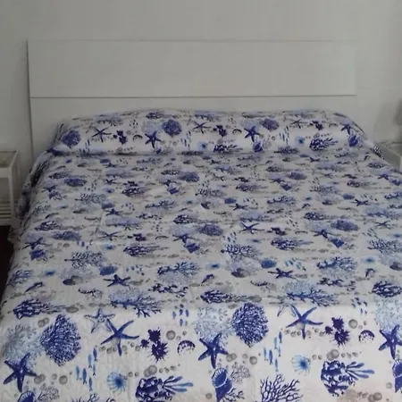 Apartment Viky House