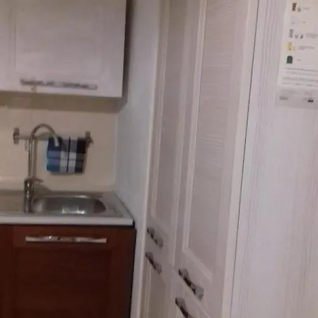 Apartment Viky House *